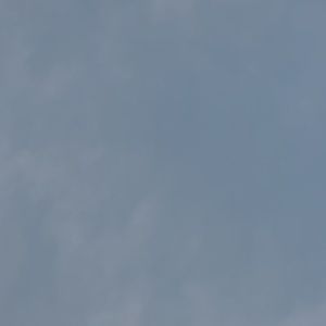 Meet your Posher, Elyssa